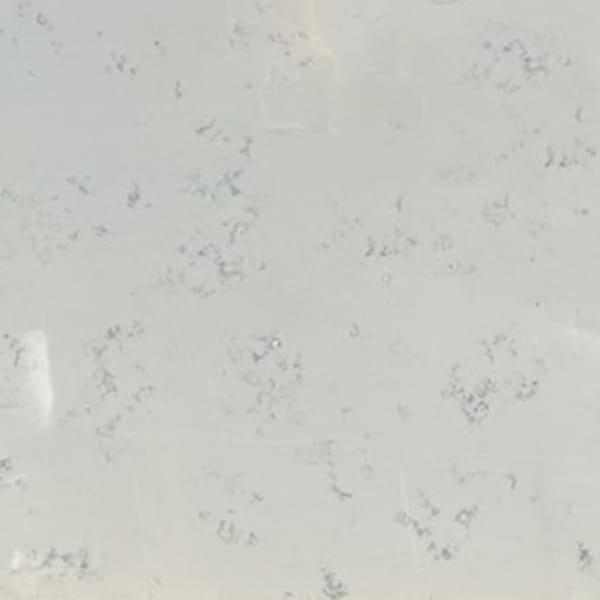 Apollo Quartz Countertops