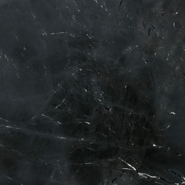 Black Diamond Quartzite Countertops