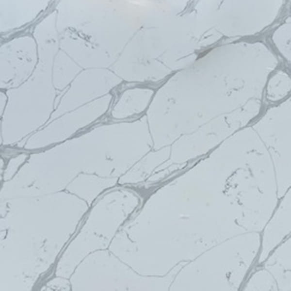 Calacatta Monticello Quartz Countertops