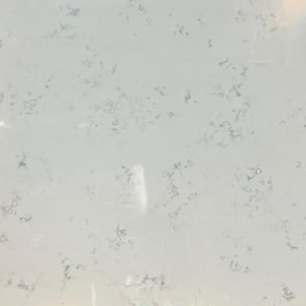 Carrara Grigio Quartz Countertops