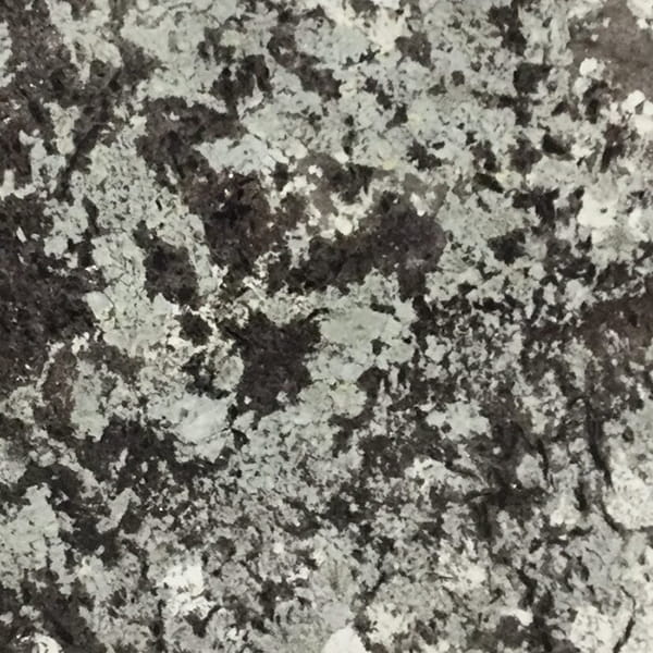 Copenhagen Silver Countertops