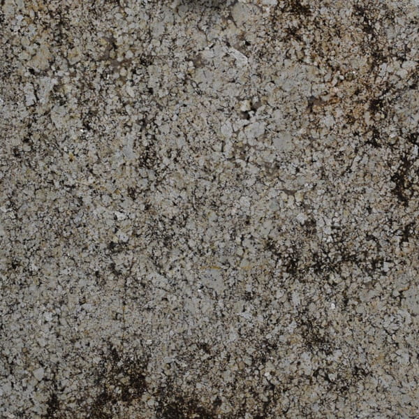 Delicatus Cream Countertops