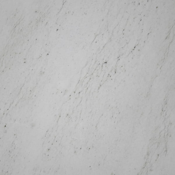 Mont Blanc Quartzite Countertops